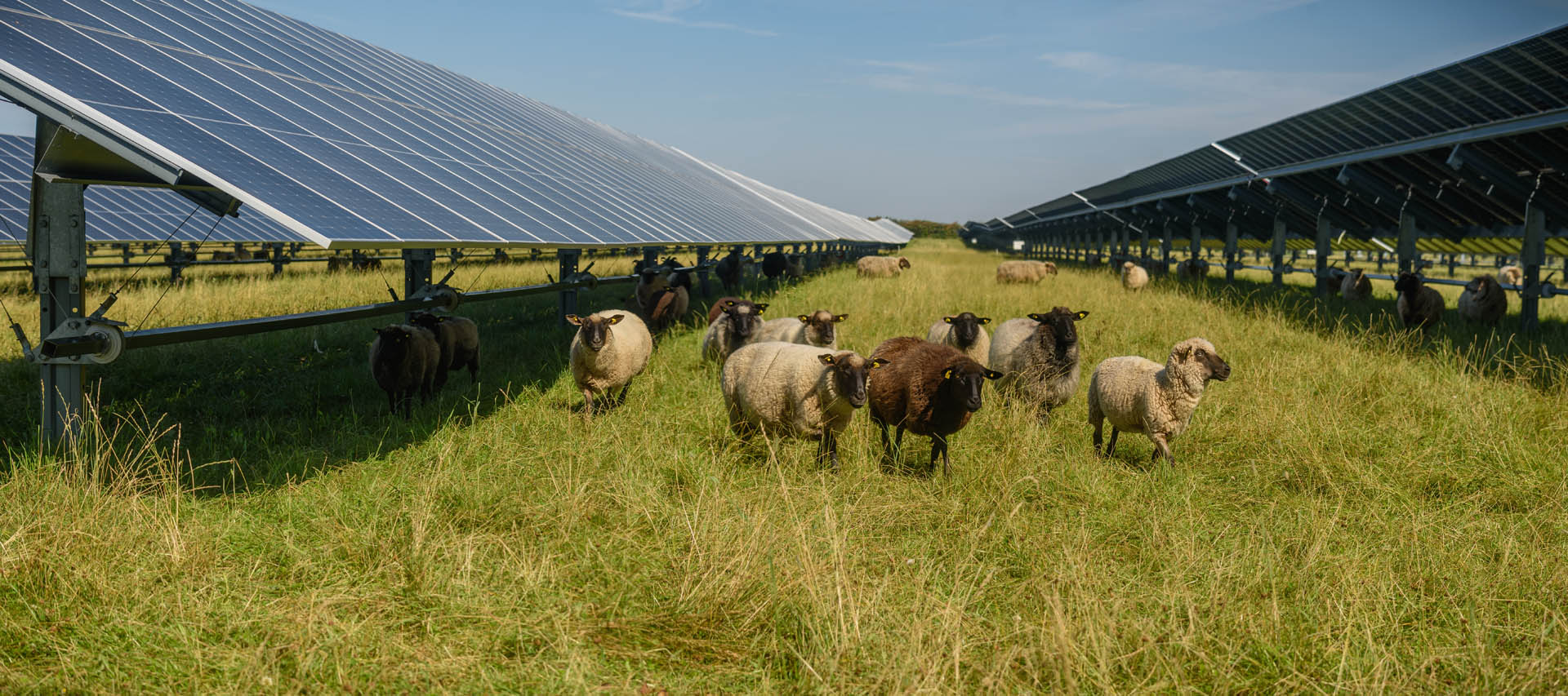 Farms solar installation